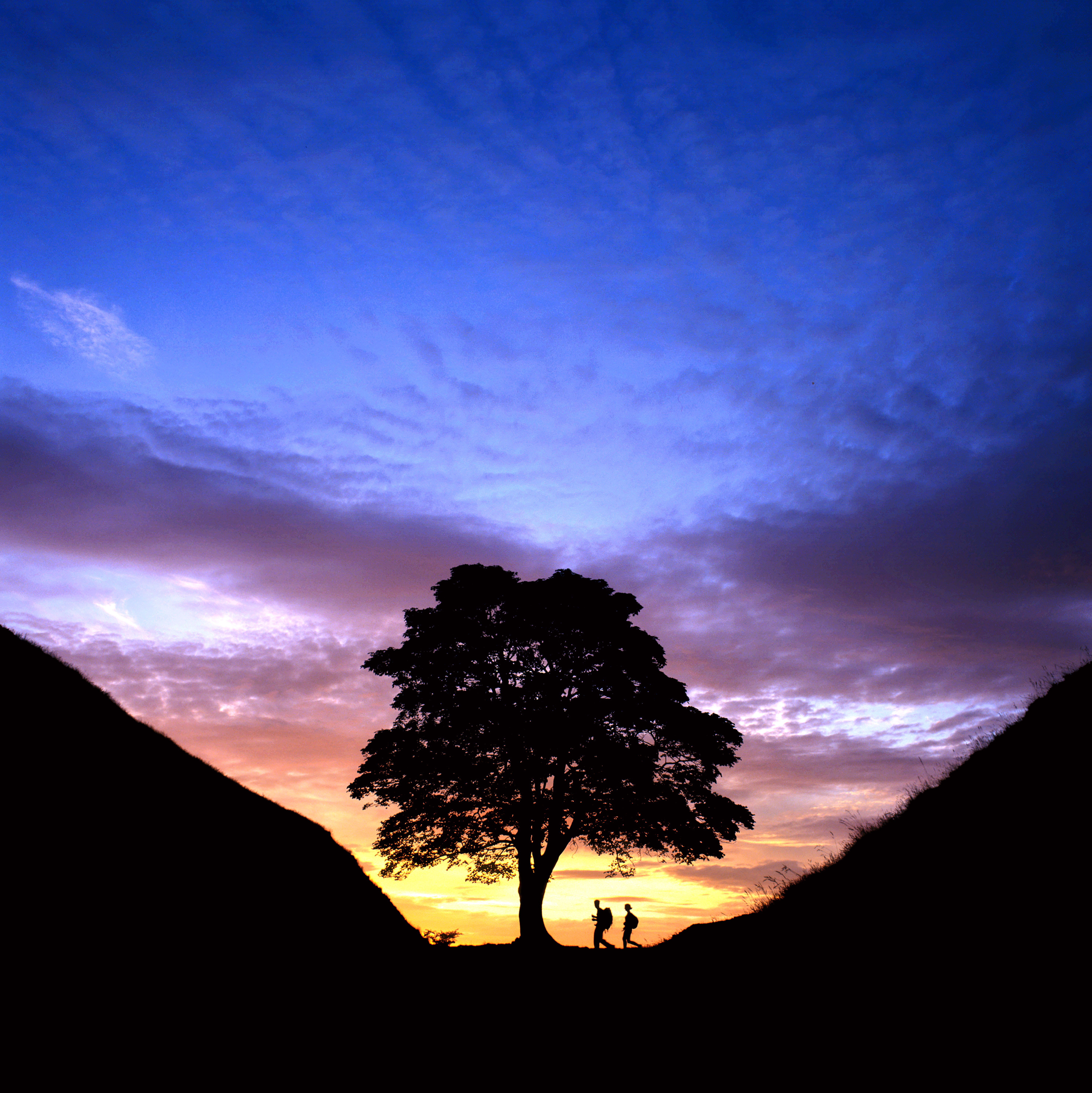 HW387 SYCAMORE GAP HADRIAN'S WALL